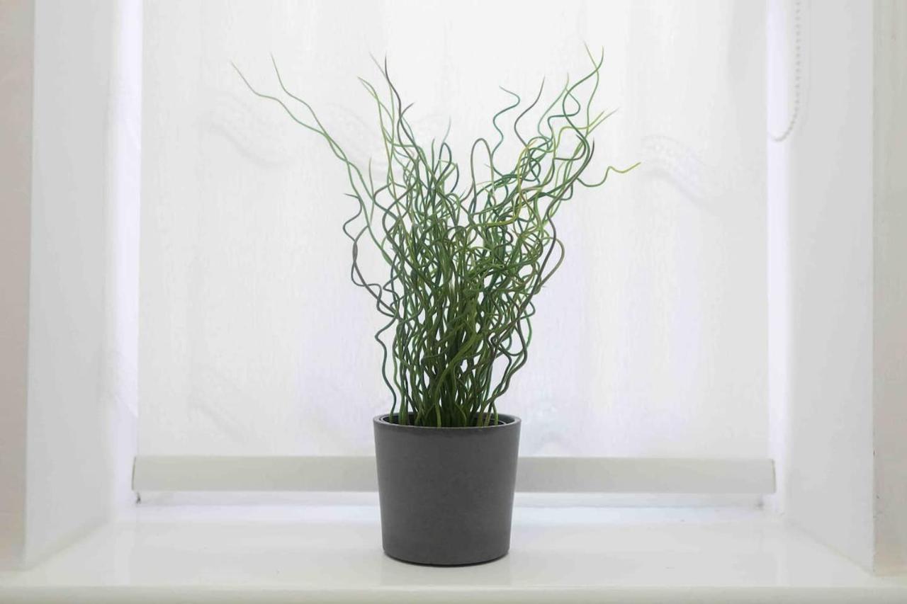 Hindmarsh Apartment *